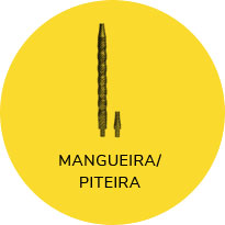 Categoria - Mangueira